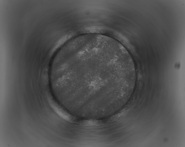 X0000092090250200710101107