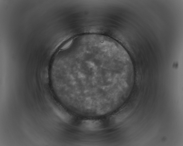X0000092090251200710101107