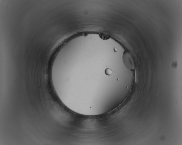 X0000092090252200710101107