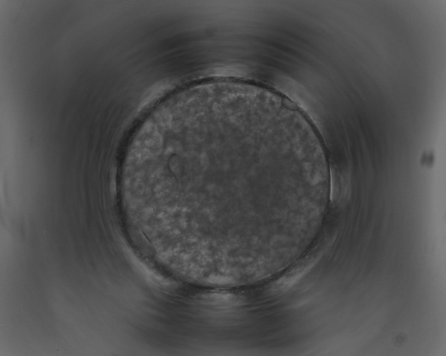 X0000092090253200710101107