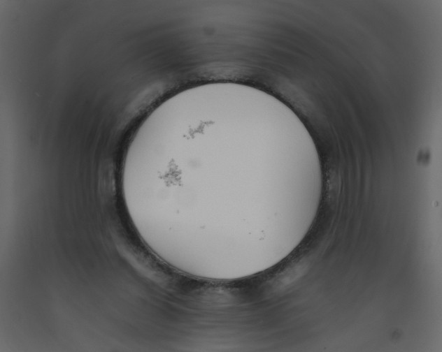 X0000092090254200710101107