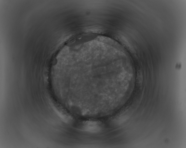 X0000092090255200710101107