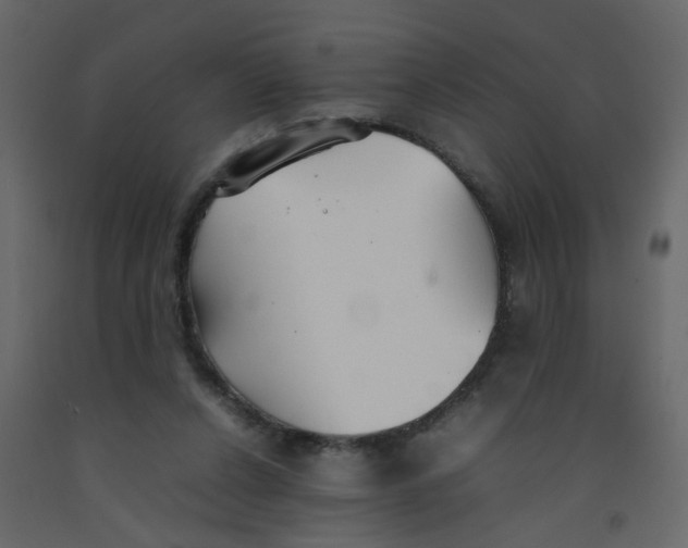 X0000092090256200710101107