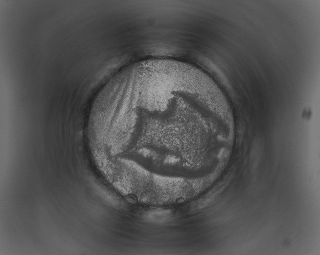 X0000092090257200710101107