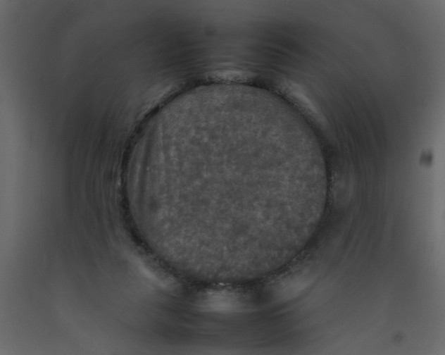 X0000092090259200710101107