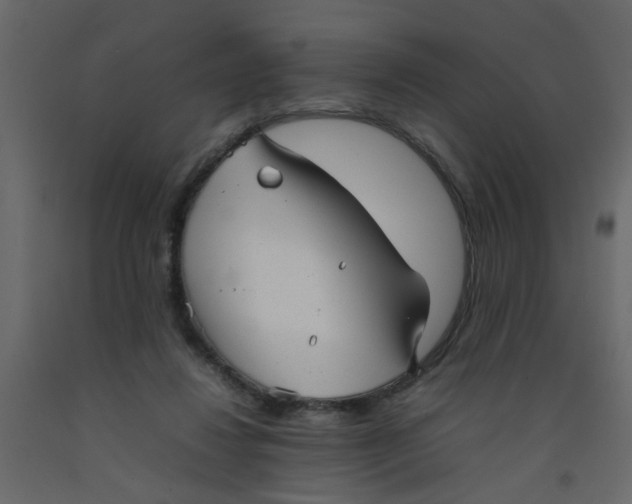 X0000092090260200710101107