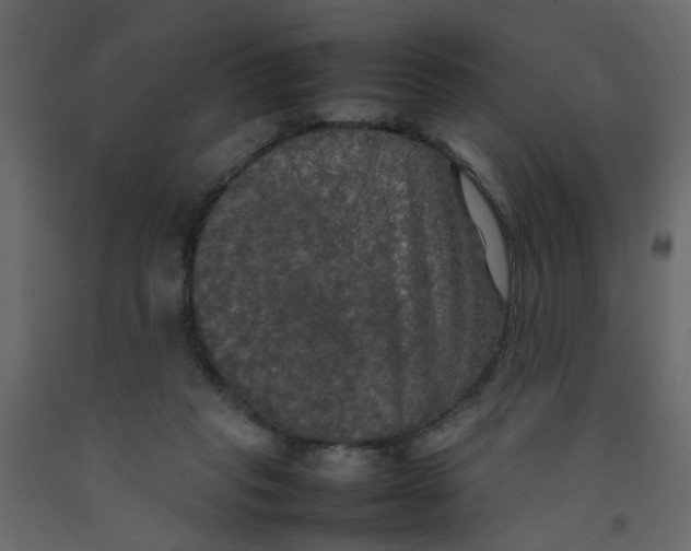X0000092090261200710101107