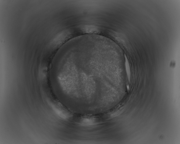 X0000092090263200710101107