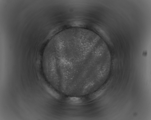 X0000092090265200710101107