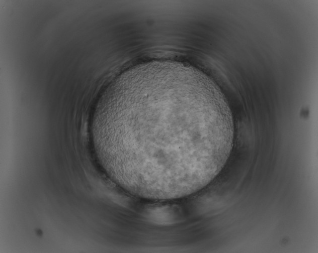 X0000092090267200710101107