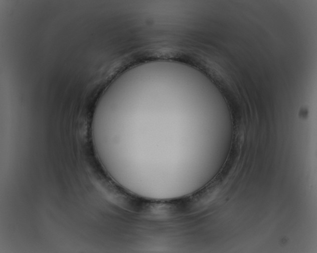 X0000092090268200710101107