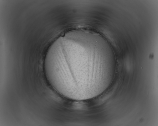 X0000092090269200710101107