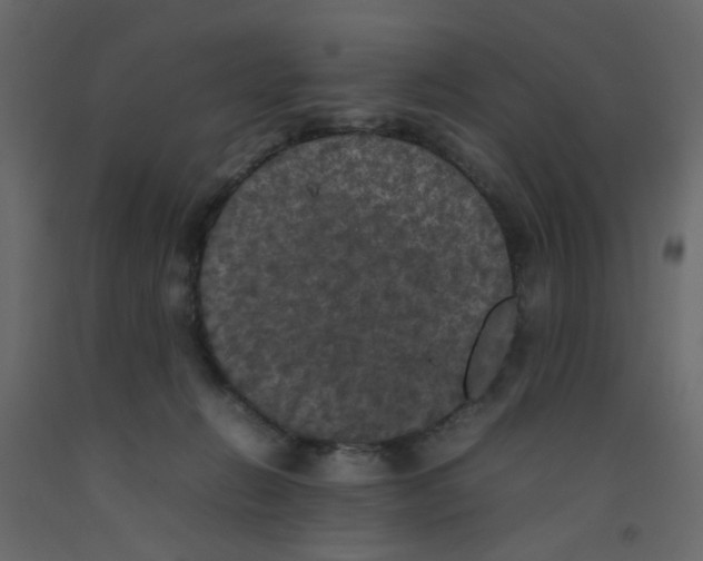 X0000092090270200710101107