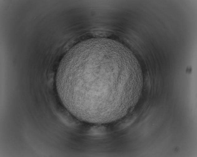 X0000092090271200710101107