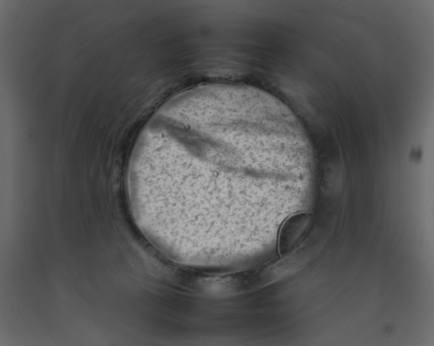 X0000092090273200710101107