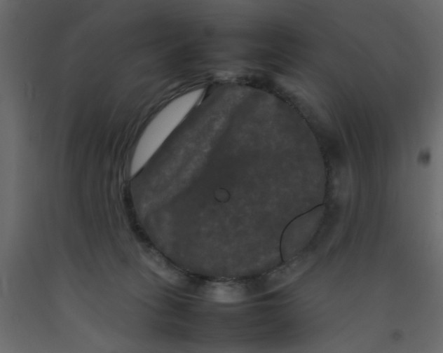 X0000092090275200710101107