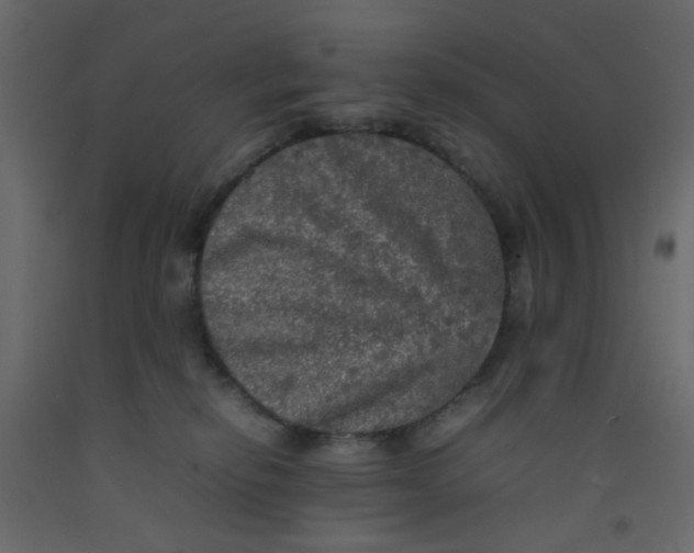 X0000092090278200710101107