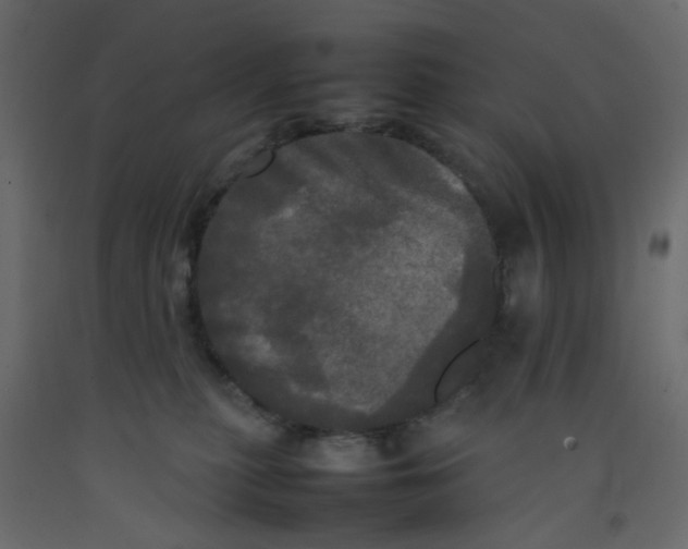 X0000092090279200710101107