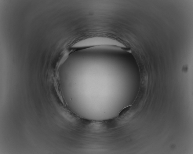 X0000092090280200710101107