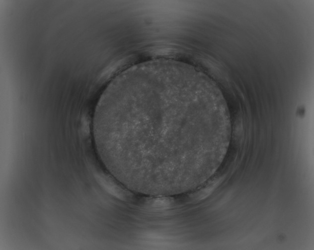 X0000092090282200710101107