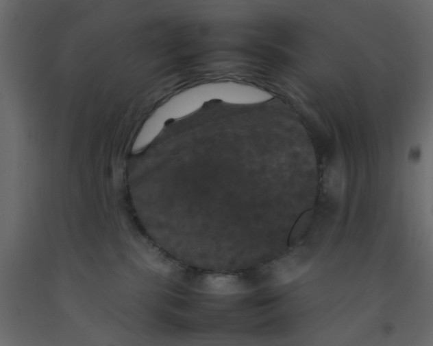 X0000092090283200710101107