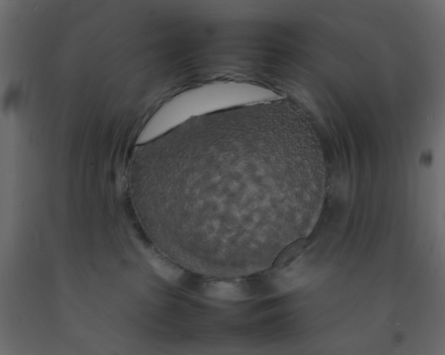 X0000092090285200710101107