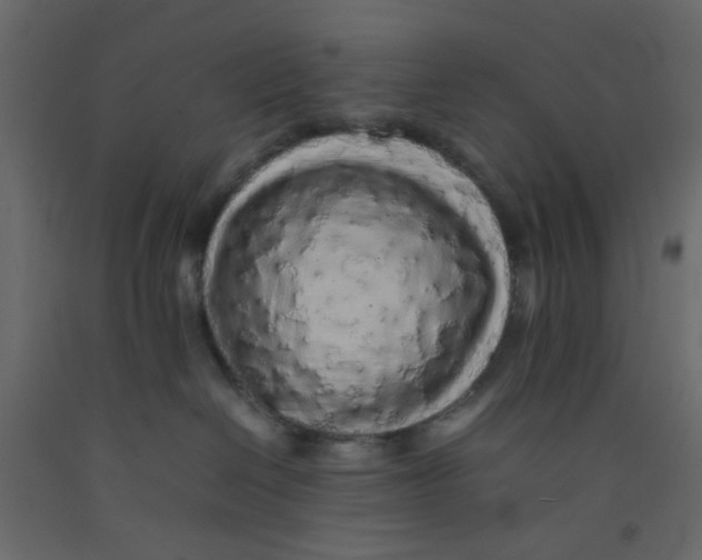 X0000092090286200710101107