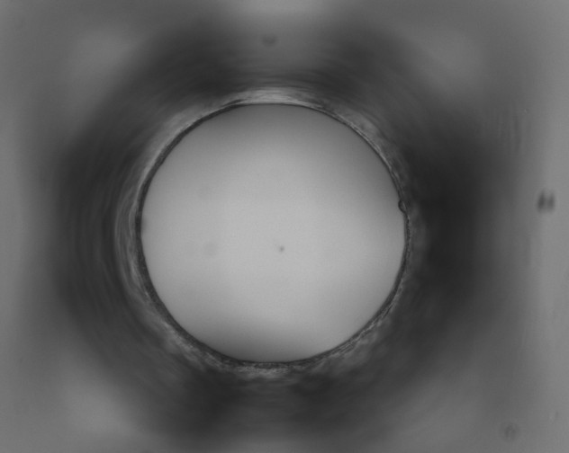 X0000092090289200710101107