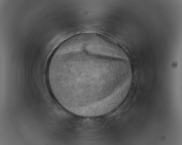 X0000092090290200710101107