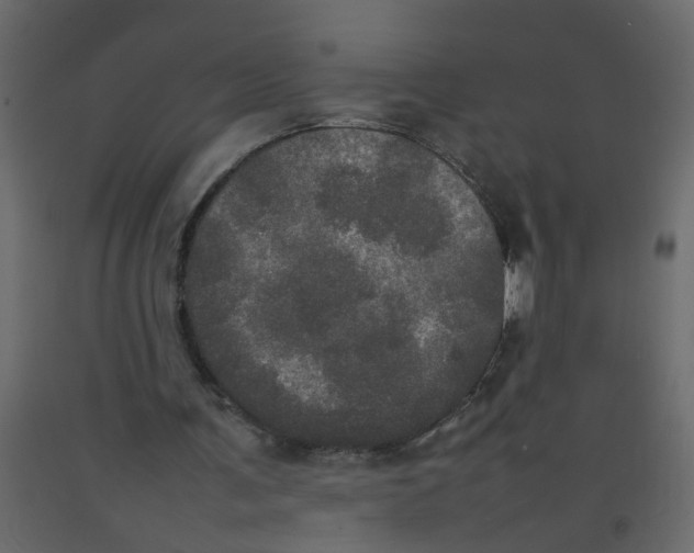 X0000092090291200710101107