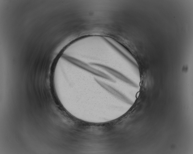 X0000092090292200710101107