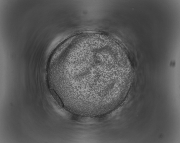 X0000092090293200710101107