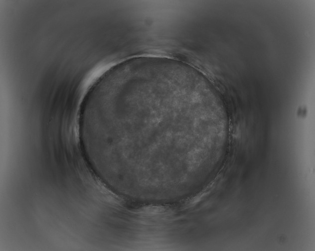 X0000092090294200710101107