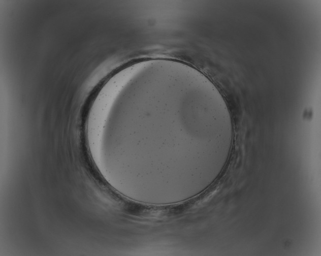 X0000092090295200710101107