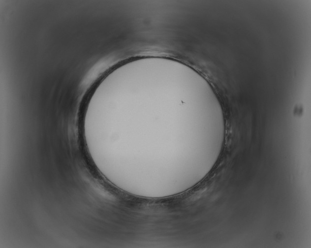 X0000092090296200710101107