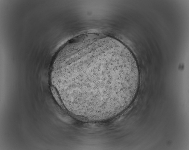 X0000092090297200710101107