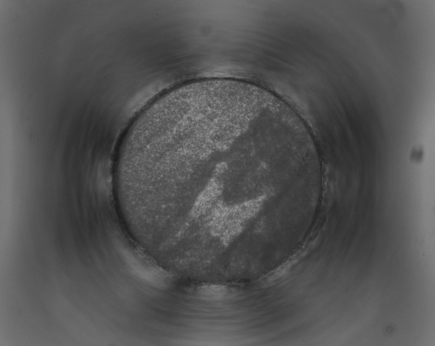 X0000092090298200710101107