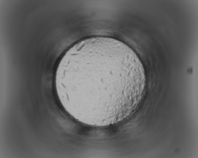 X0000092090299200710101107