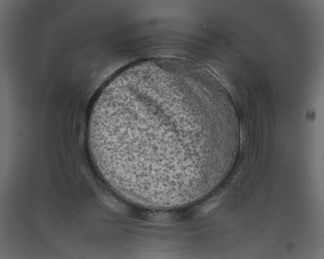 X0000092090301200710101107