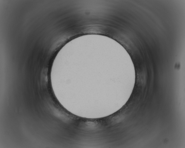 X0000092090302200710101107