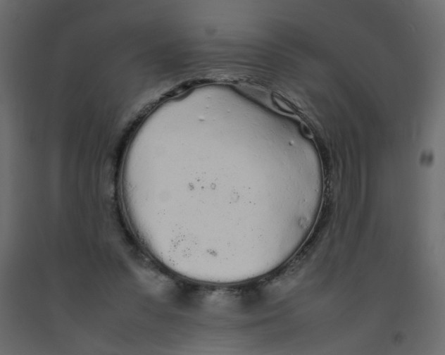 X0000092090303200710101107