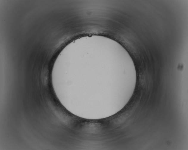 X0000092090304200710101107