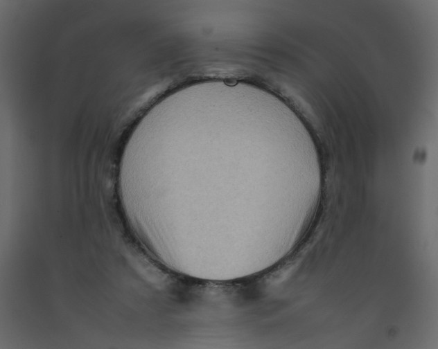 X0000092090305200710101107