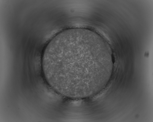 X0000092090306200710101107