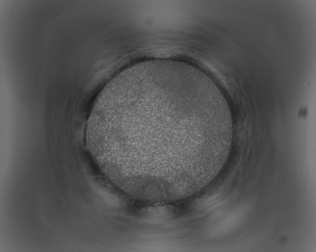 X0000092090307200710101107