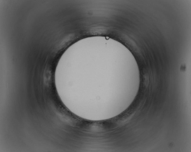 X0000092090308200710101107