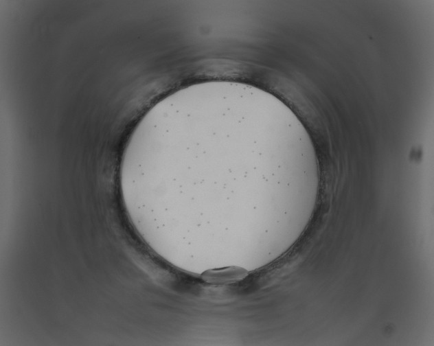 X0000092090309200710101107