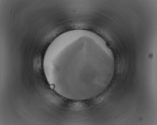 X0000092090310200710101107