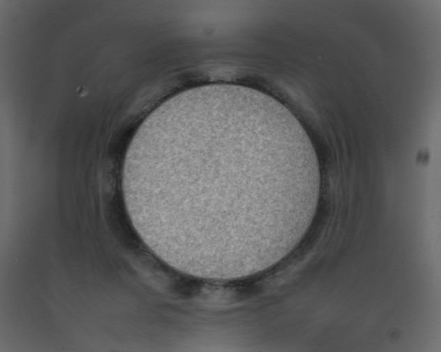 X0000092090311200710101107