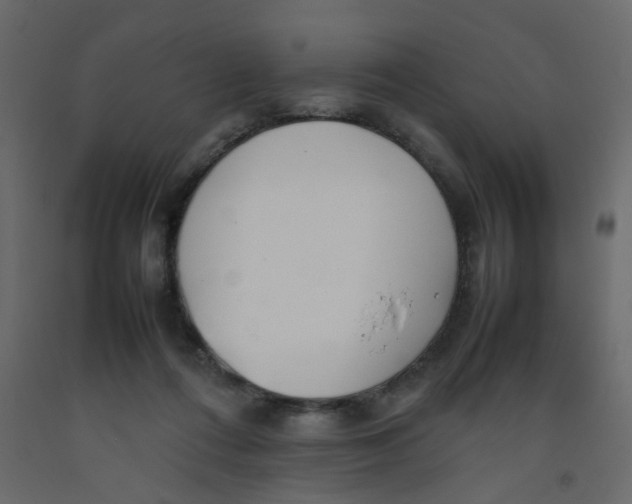 X0000092090312200710101106